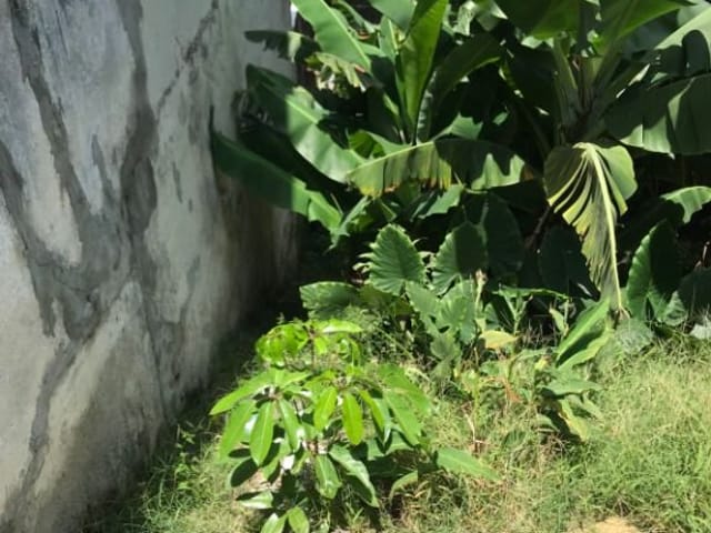 Terreno com 272m², à venda, no bairro Jardim Bonfiglioli em São Paulo