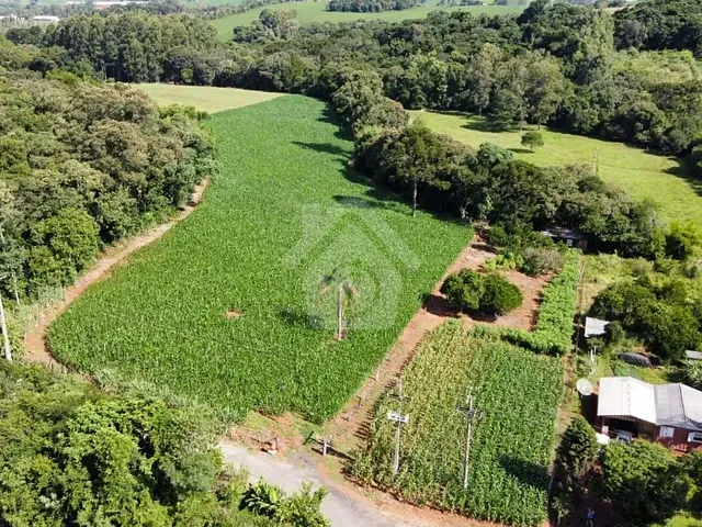 Terreno com 36000m², à venda, no bairro Zona Rural em Fazenda Vilanova