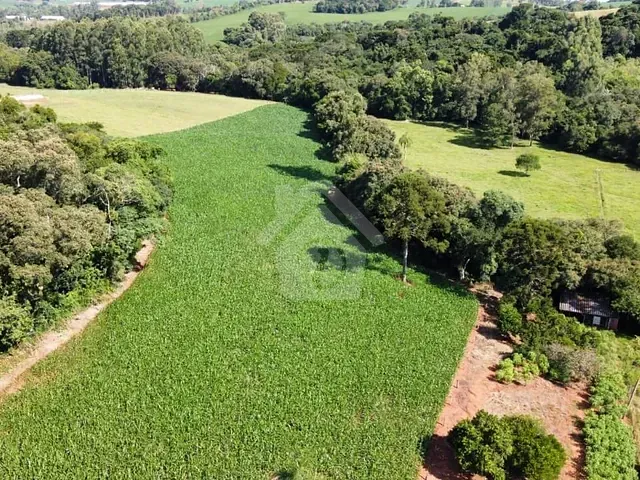 Terreno com 36000m², à venda, no bairro Zona Rural em Fazenda Vilanova