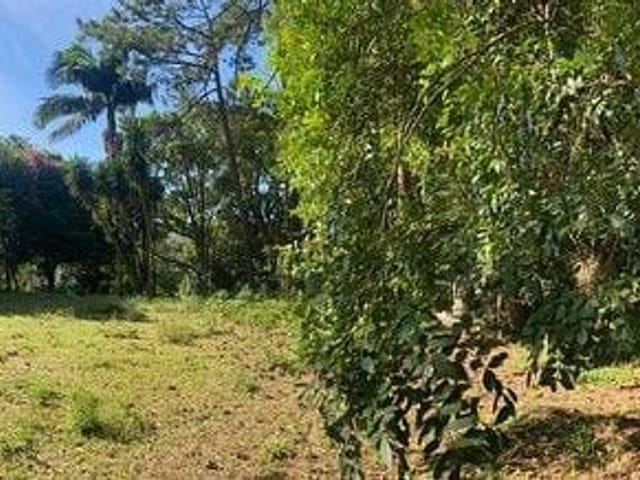Terreno com 5600m², à venda, no bairro Cemucam em Cotia