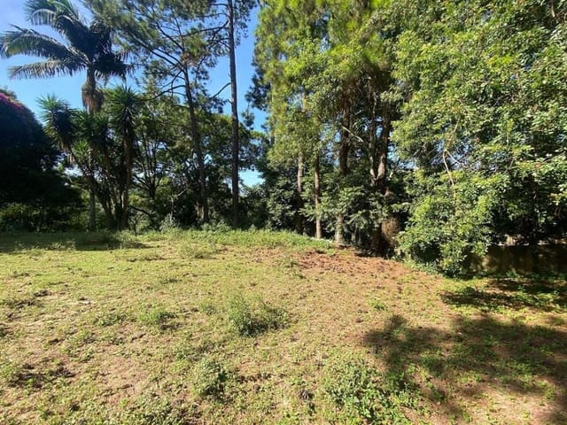 Terreno com 5600m², à venda, no bairro Cemucam em Cotia