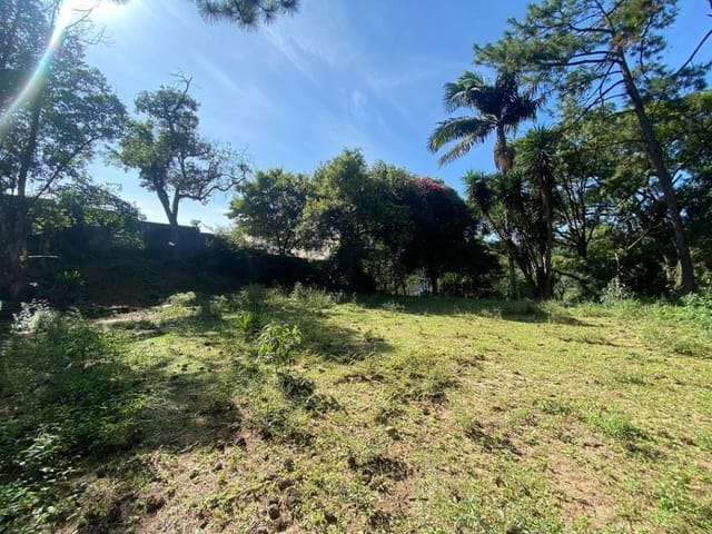 Terreno com 5600m², à venda, no bairro Cemucam em Cotia
