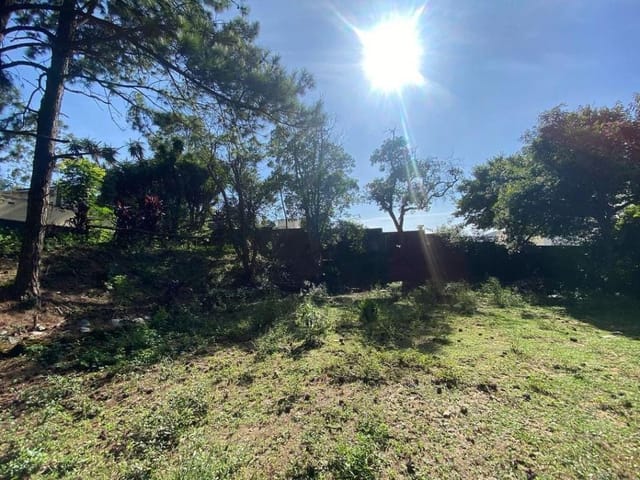 Terreno com 5600m², à venda, no bairro Cemucam em Cotia