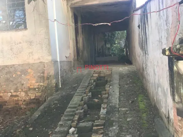 Terreno à venda, no bairro Vila Baeta Neves em São Bernardo do Campo