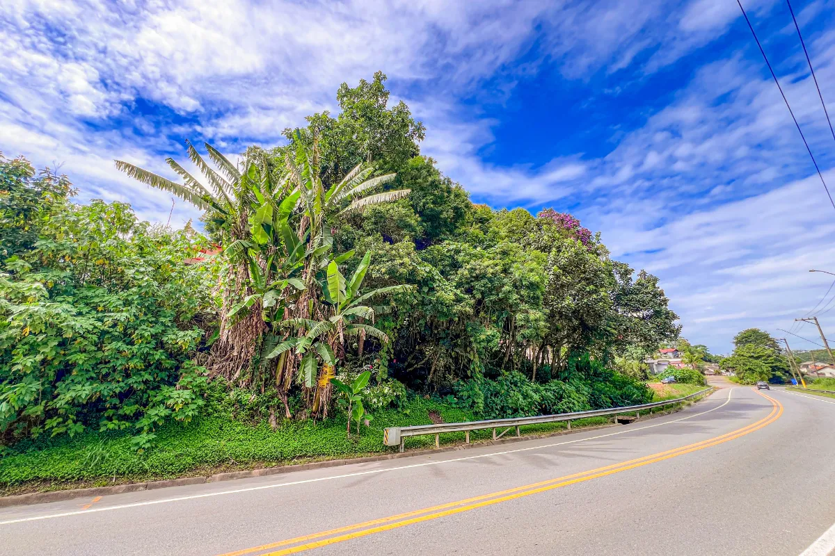 Terreno comercial para venda em Santa Luzia, 700m²