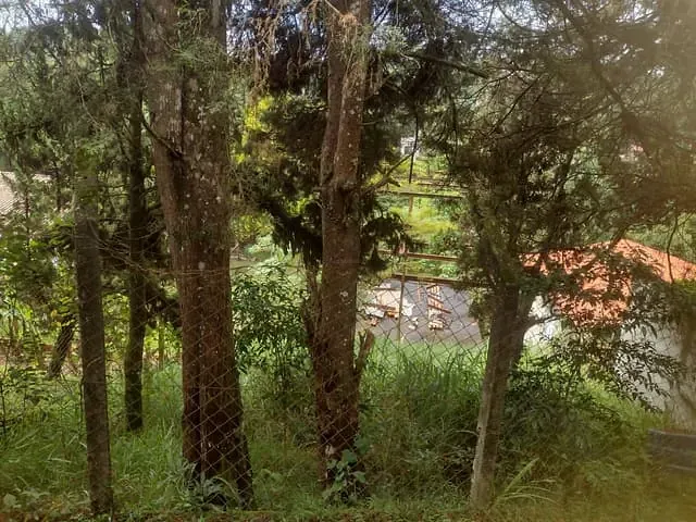 Terreno com 503m², à venda, no bairro Granja Carneiro Viana em Cotia