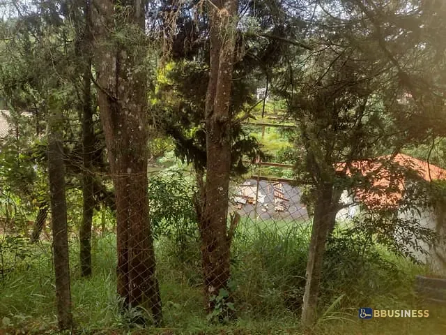 Terreno com 503m², à venda, no bairro Granja Carneiro Viana em Cotia
