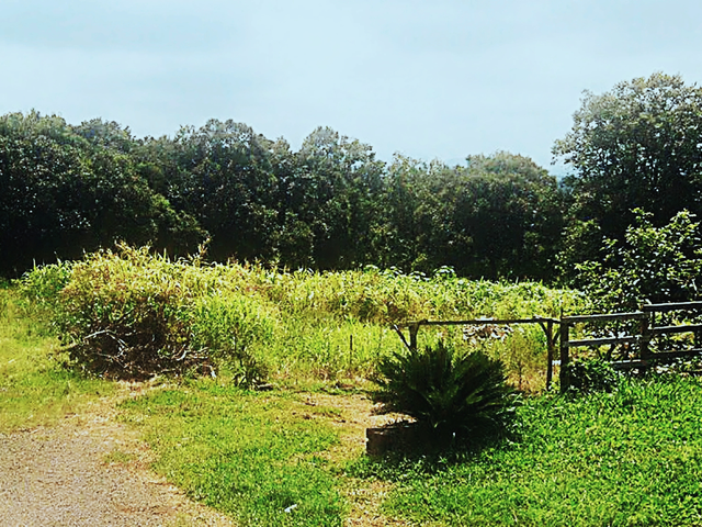 Foto do Terreno - Terreno à venda, Barra do Forqueta, Arroio do Meio, RS | Executivo Imóveis