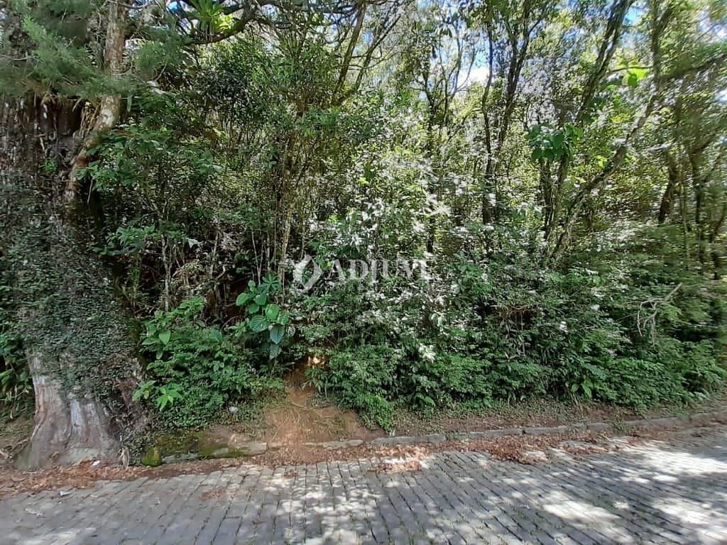 Terreno à venda, 10m² - Foto 1