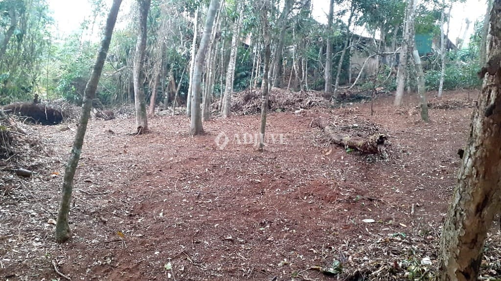 Terreno à venda, 9240m² - Foto 3