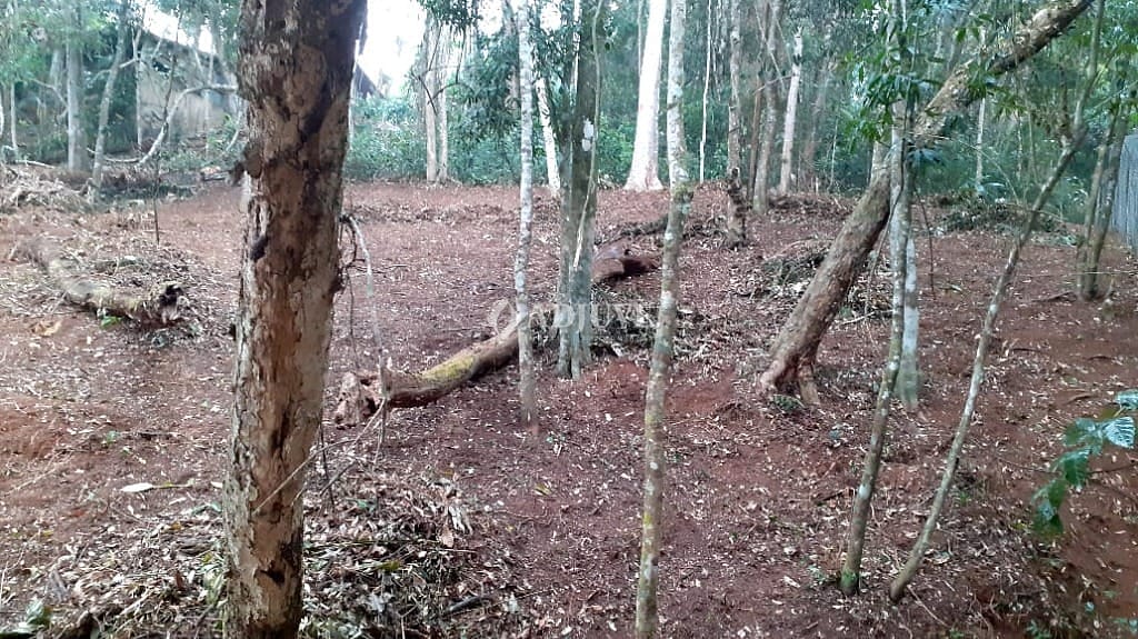 Terreno à venda, 9240m² - Foto 1