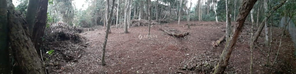 Terreno à venda, 9240m² - Foto 5