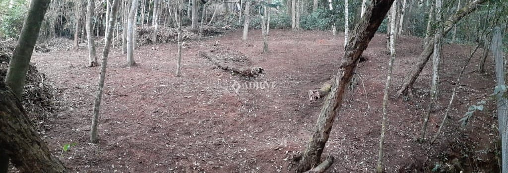 Terreno à venda, 9240m² - Foto 4
