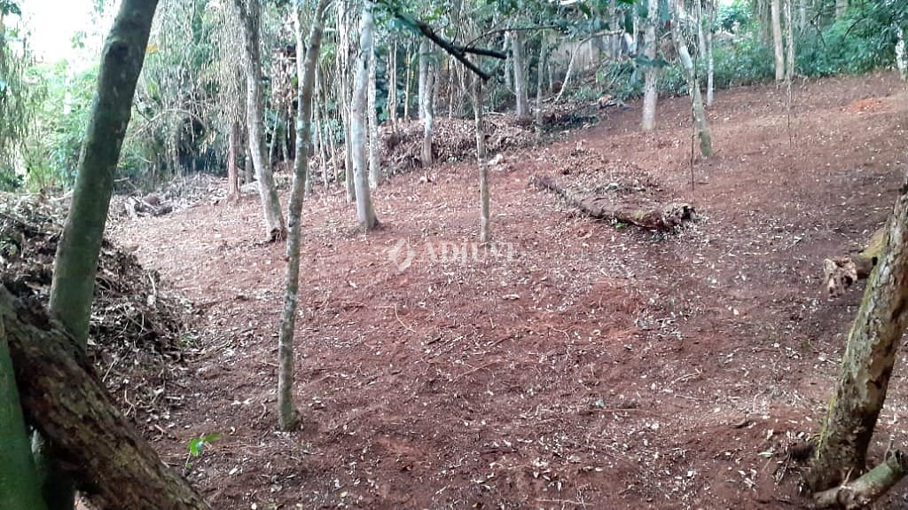 Terreno à venda, 9240m² - Foto 2