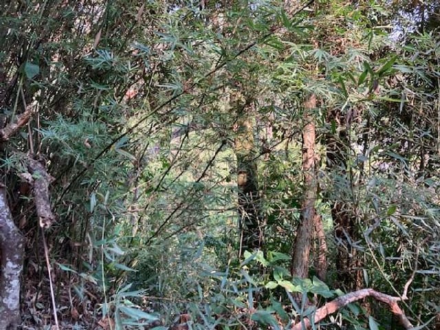 Foto do Terreno - Terreno à venda 10M², JARDIM COLIBRI, EMBU DAS ARTES - SP | Imobiliária Compare