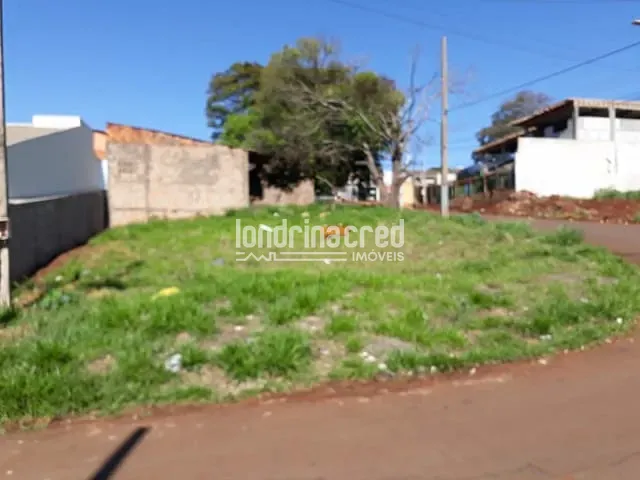 Terreno com 290m², à venda, no bairro Parque Universidade em Londrina