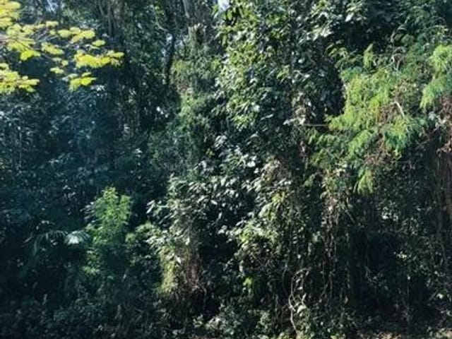 Terreno com 1743m², à venda, no bairro Altos de São Fernando em Jandira