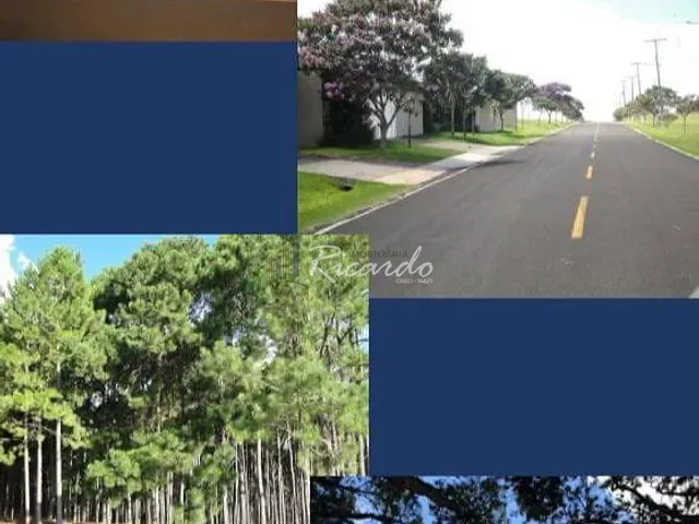Terreno com 1257m², à venda, no bairro Jardim Petrópolis em Arapongas