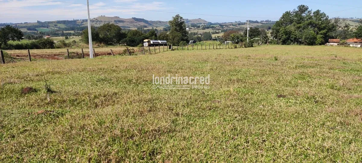 Terreno, 5 hectares - Foto 2