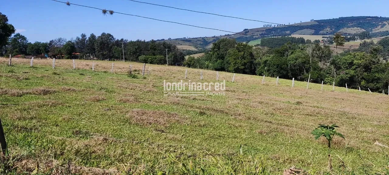 Terreno, 5 hectares - Foto 19