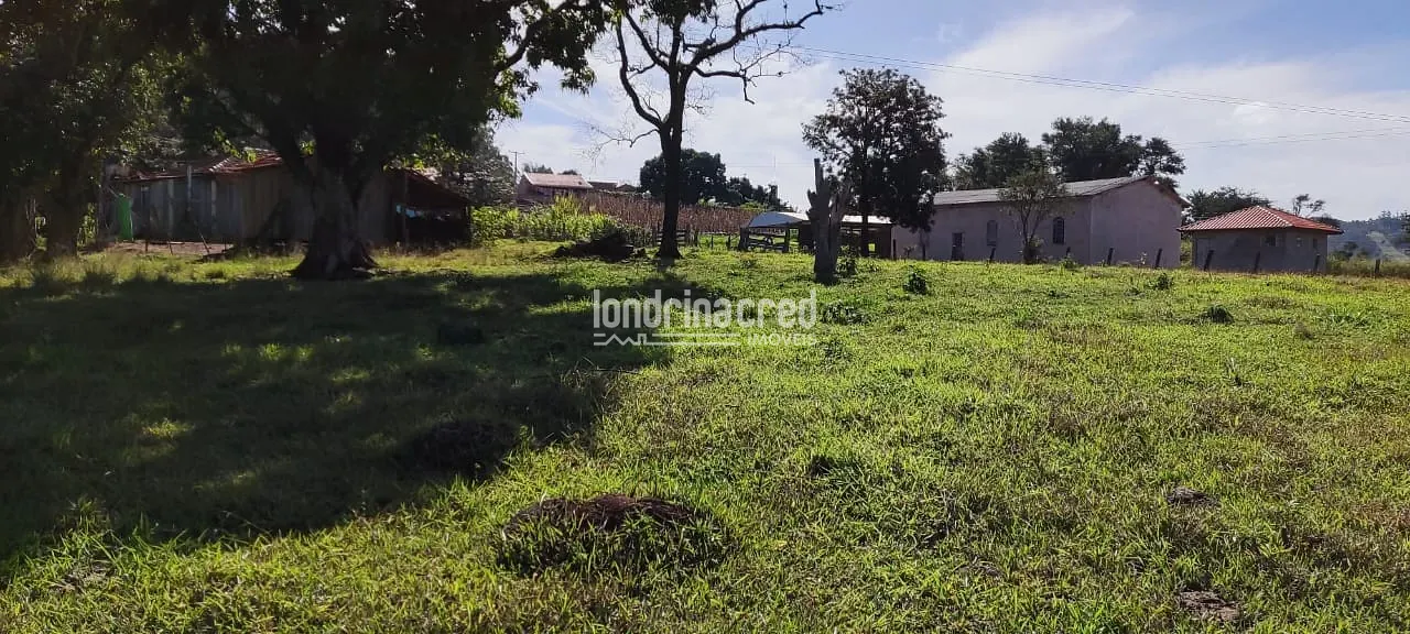 Terreno, 5 hectares - Foto 10