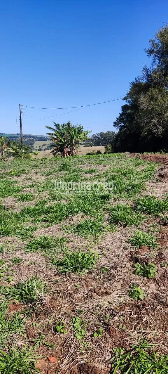 Terreno, 5 hectares - Foto 16