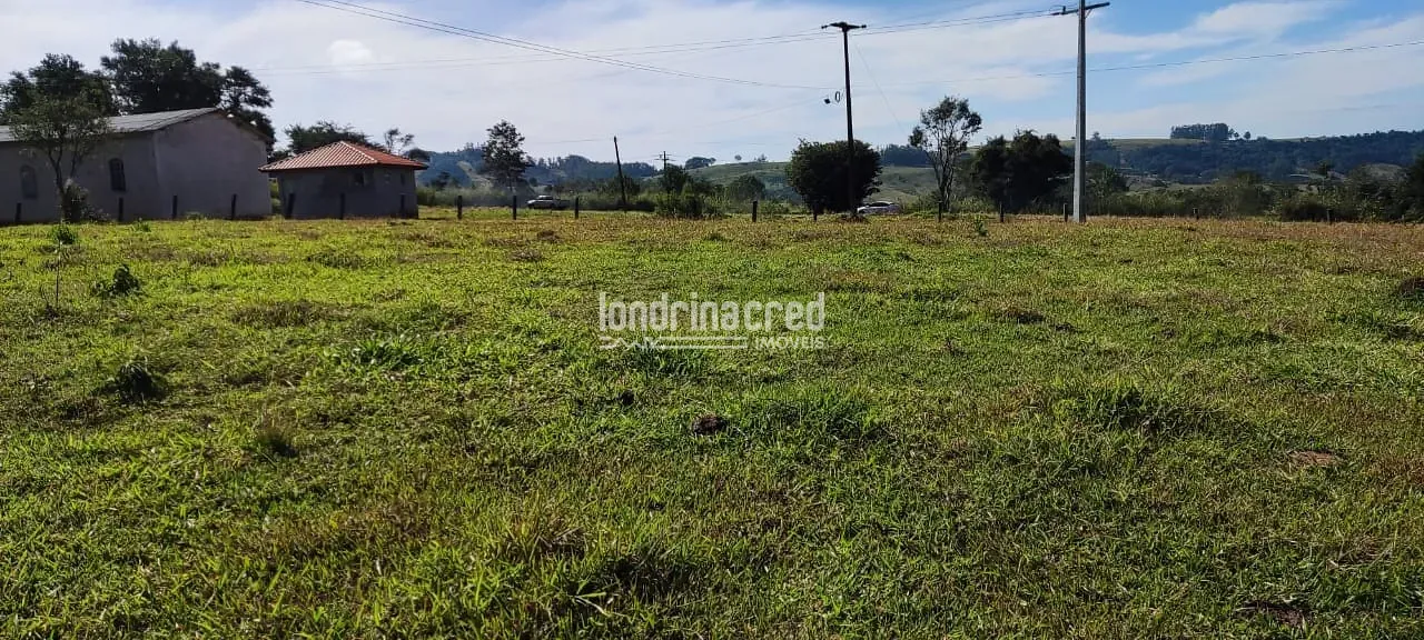 Terreno, 5 hectares - Foto 4