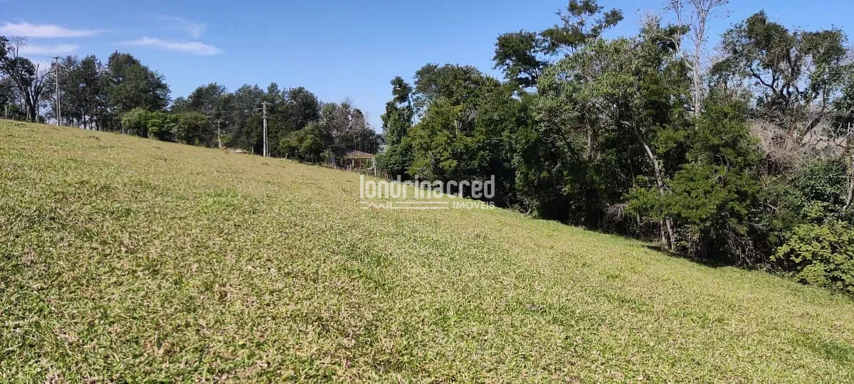 Terreno, 5 hectares - Foto 9