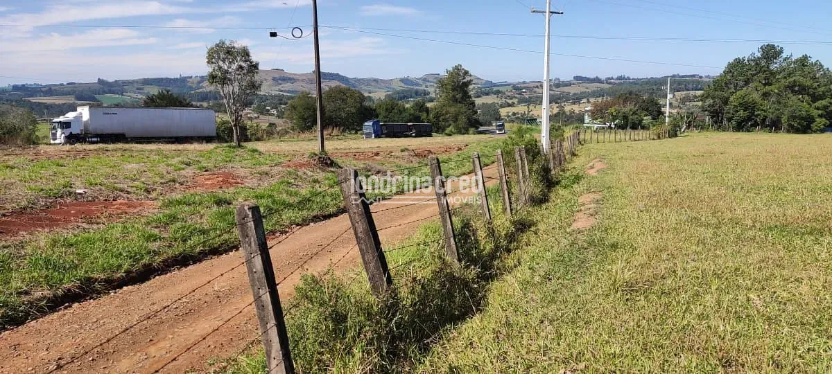 Terreno, 5 hectares - Foto 1