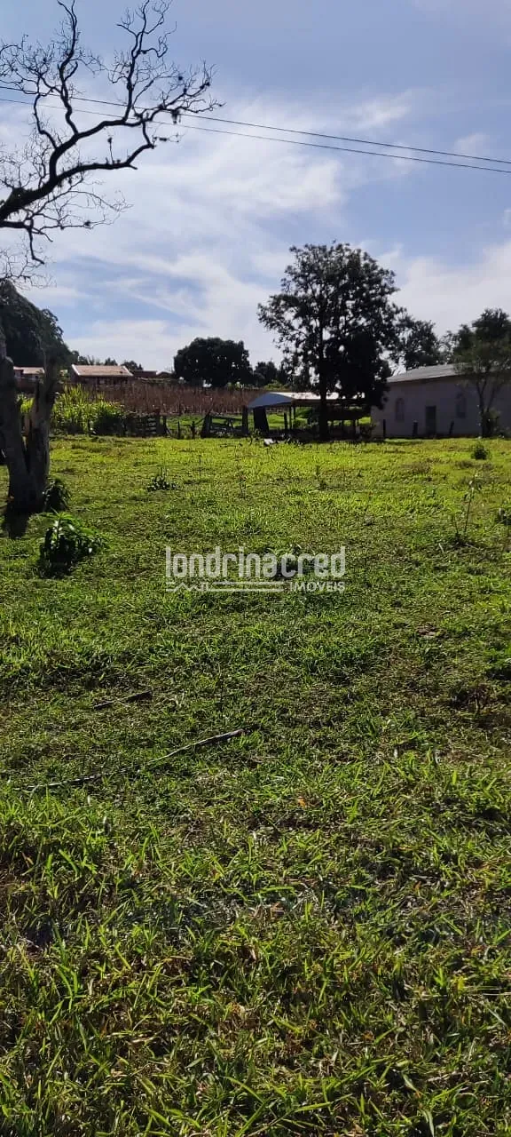 Terreno, 5 hectares - Foto 3
