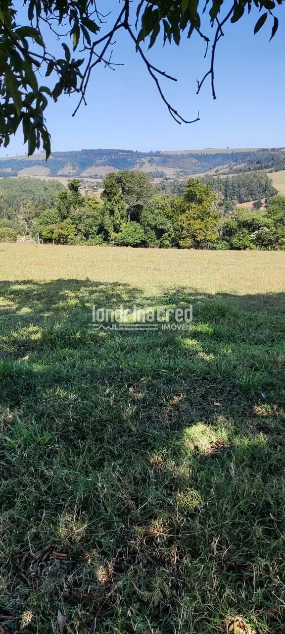 Terreno, 5 hectares - Foto 7