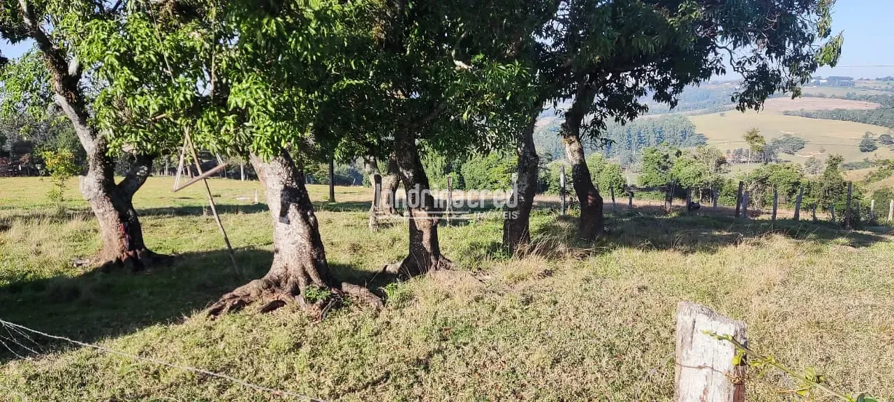 Terreno, 5 hectares - Foto 18