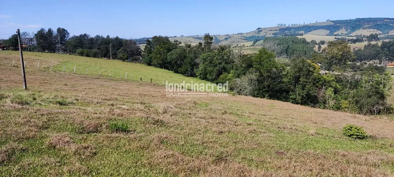 Terreno, 5 hectares - Foto 11
