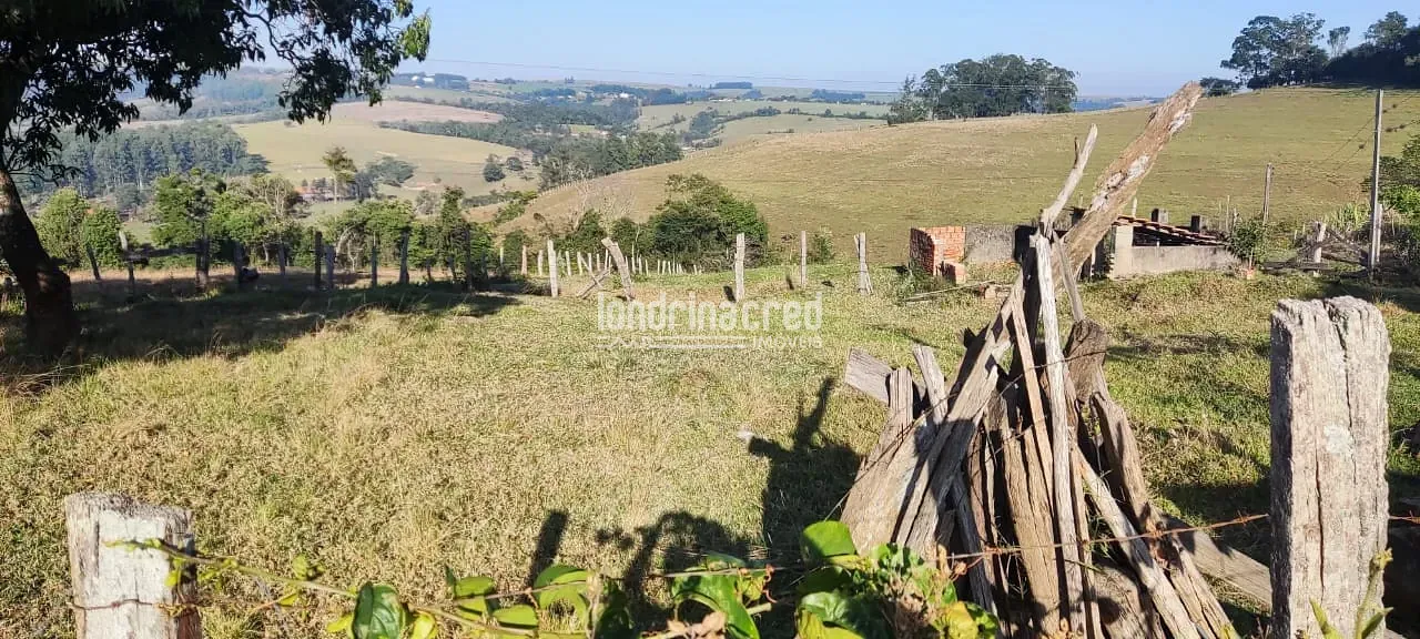 Terreno, 5 hectares - Foto 17