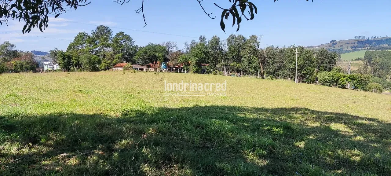 Terreno, 5 hectares - Foto 6