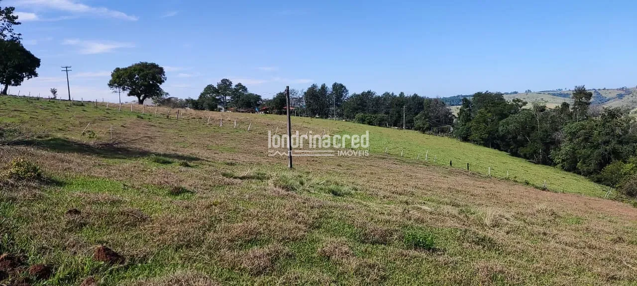 Terreno, 5 hectares - Foto 12