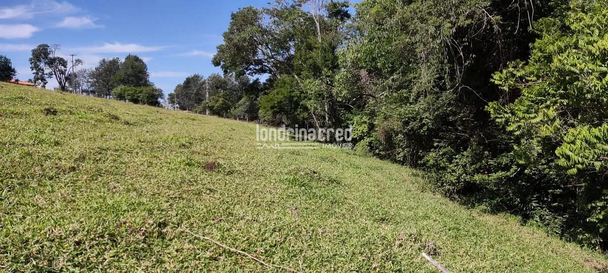 Terreno, 5 hectares - Foto 15