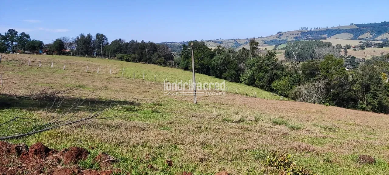 Terreno, 5 hectares - Foto 13