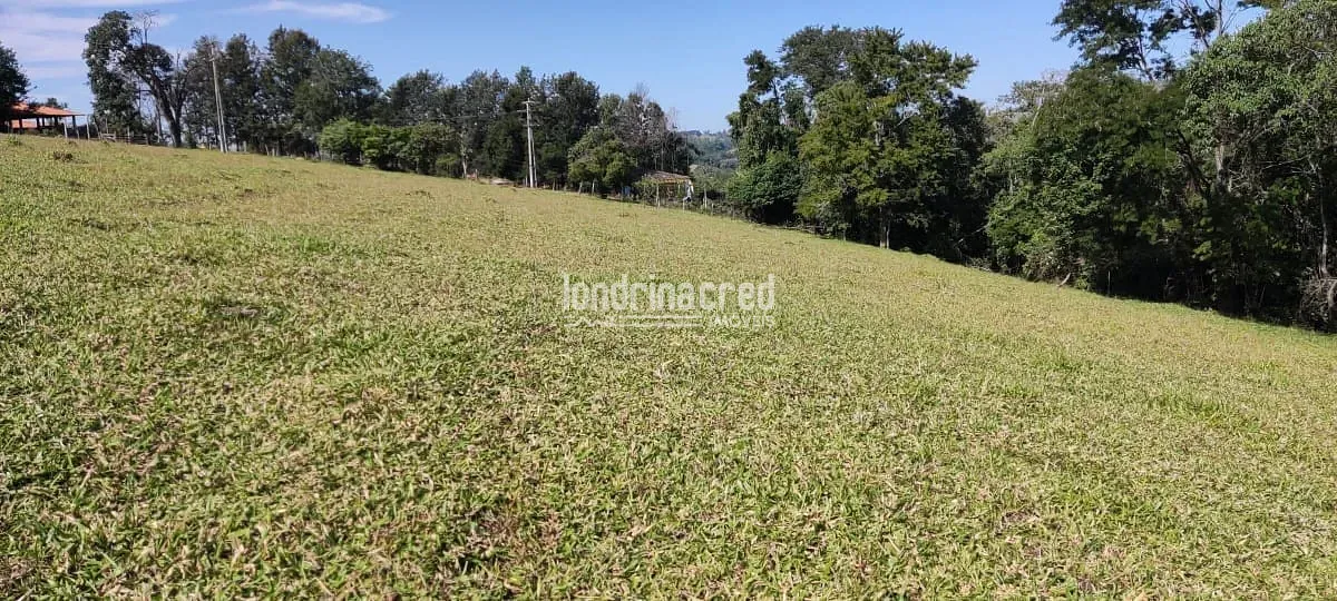 Terreno, 5 hectares - Foto 8