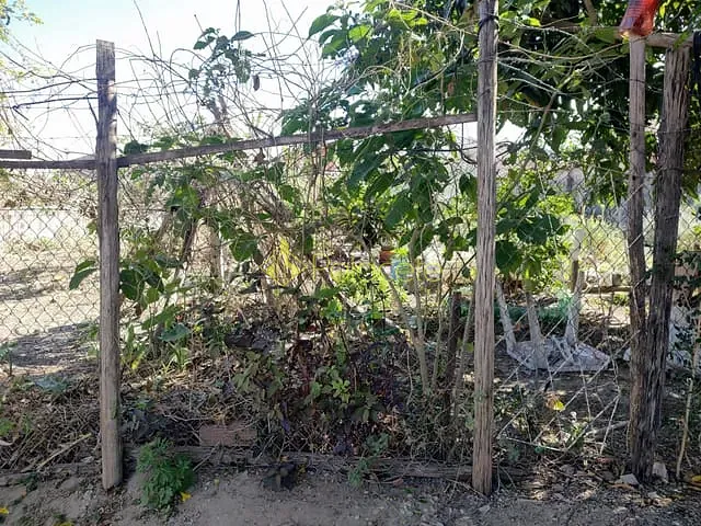 Terreno com 300m², à venda, no bairro Vila Bela em Taubaté