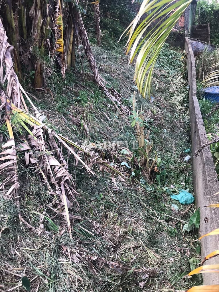 Terreno à venda com 1 quarto, 590m² - Foto 3