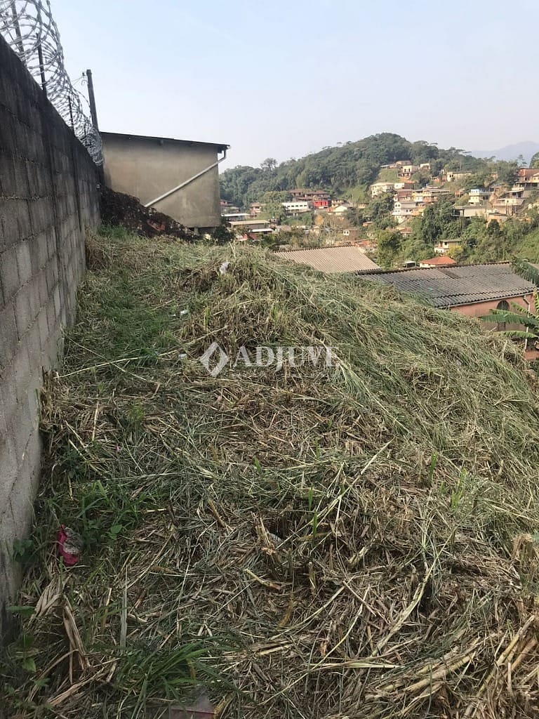 Terreno à venda com 1 quarto, 590m² - Foto 6