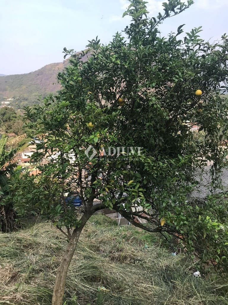 Terreno à venda com 1 quarto, 590m² - Foto 5