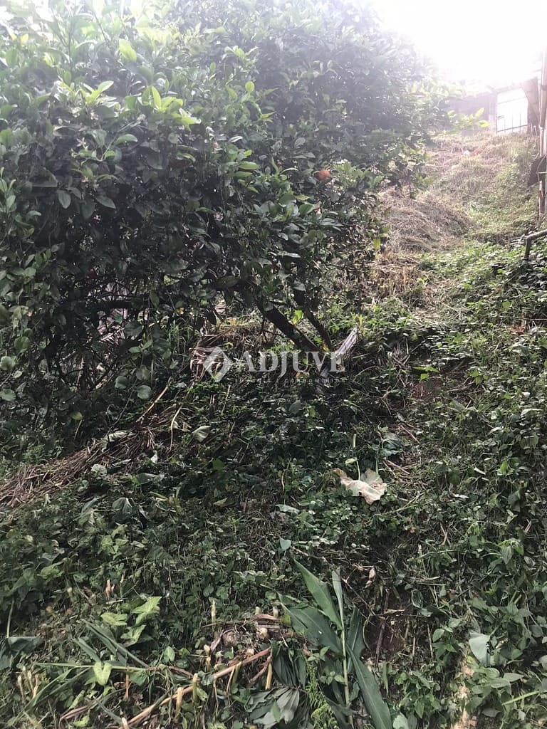 Terreno à venda com 1 quarto, 590m² - Foto 10