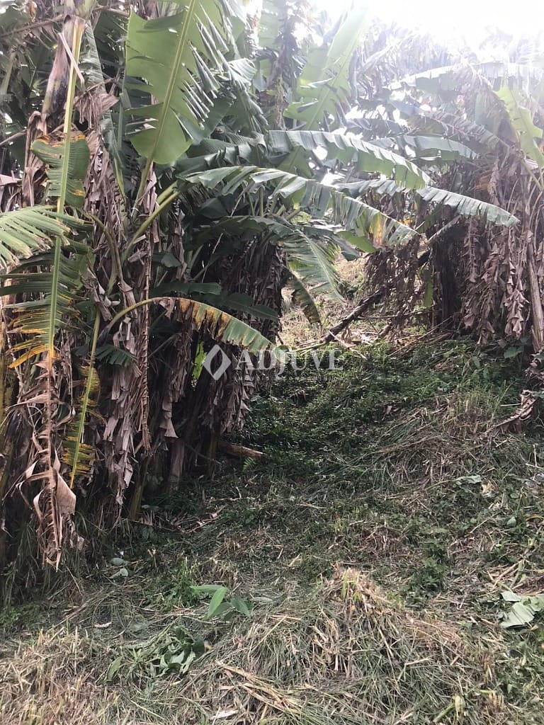 Terreno à venda com 1 quarto, 590m² - Foto 8