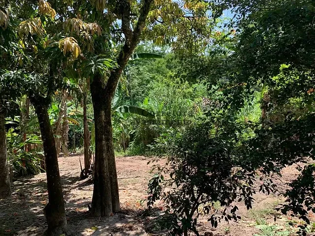 Terreno com 18000m², à venda, no bairro Jardim Santo Antônio da Boa Vista em Jacareí