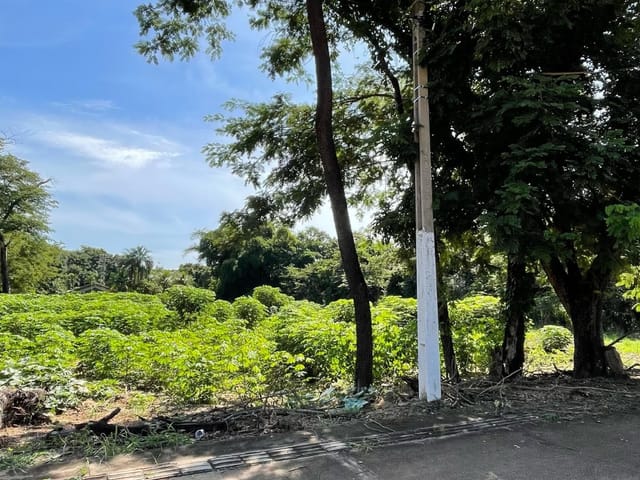 Foto do Terreno - Terreno comercial para venda em Vila Goulart III, 3,844m² | Lares e Andares Imóveis