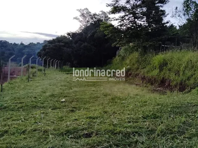 Terreno com 1000m², à venda, no bairro Fazenda da Nata em Londrina