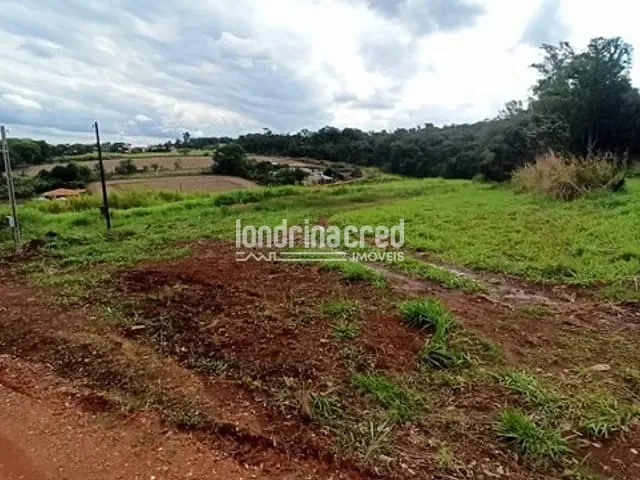 Terreno com 1000m², à venda, no bairro Fazenda da Nata em Londrina