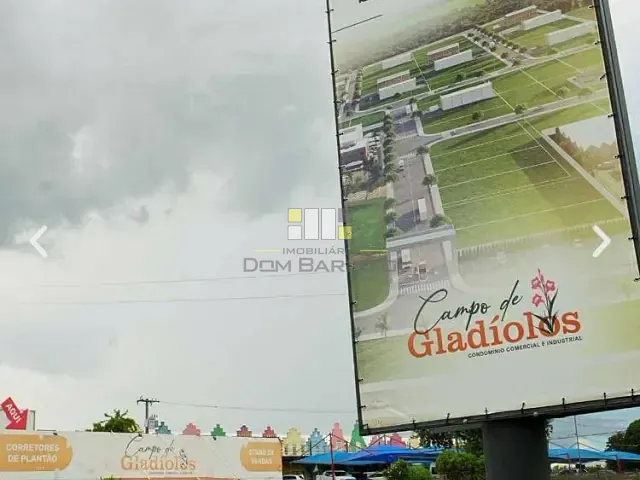 Terreno com 76000m², à venda, no bairro Condomínio Industrial e Comercial Campo dos Gladíolos em Holambra